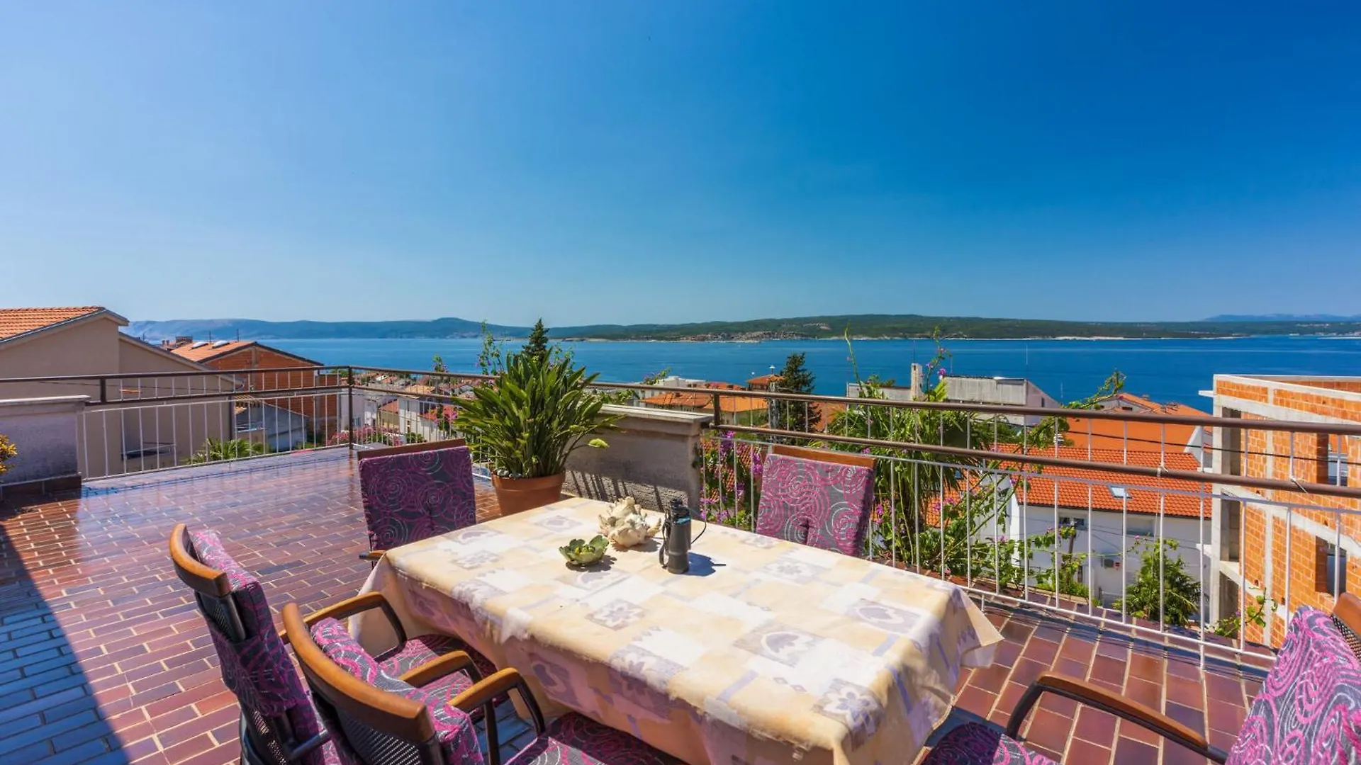 Bugenvilija Crikvenica